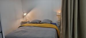 洛什Logement cosy centre Loches的一间卧室配有带2个枕头的床