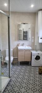 洛什Logement cosy centre Loches的浴室配有卫生间水槽和洗衣机。