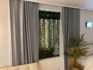 首尔Ato the gift的一间卧室,设有窗户,配有窗帘和植物