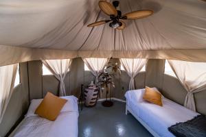 ParrillasEl Toril Glamping Experience的客房设有两张床和吊扇。