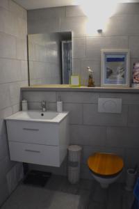 PuivertL'Occitania Chambre d'hotes的一间带水槽和卫生间的浴室