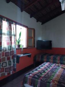 格拉纳达Cafetín-Hostal Rincón NICA的一间卧室设有两张床、一个窗口和电视