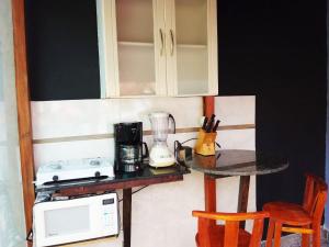 布卢梅瑙Espaço aconchegante Blumenau的厨房配有带搅拌机和微波炉的台面