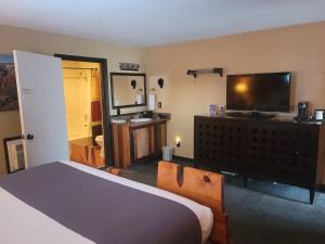 卡纳布A峡谷克莱克申普若坡提峡谷旅舍的一间卧室配有一张床和一台平面电视