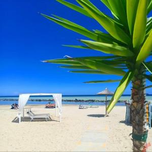 里米尼Hotel Brezza的海滩上的棕榈树,配有帐篷和椅子