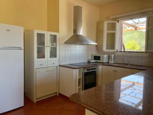 瓦西Pandora Villa的厨房配有白色冰箱和水槽