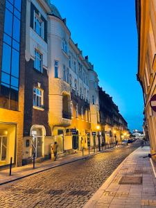 别尔斯克-比亚拉Rost Apartments的夜空在城市的鹅卵石街道