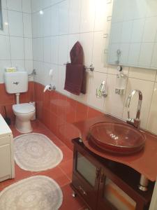 茹帕尼亚APARTMAN SOFIA的一间带水槽和卫生间的浴室