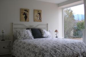 布尔戈斯Casa la Manzanera的一间卧室设有一张床和一个大窗户