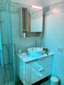 拉韦纳蓬泰特雷萨Villa Panoramica的浴室配有蓝色水槽和淋浴。
