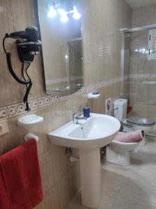 宏达海滩Casa La Orilla 1的一间带水槽、卫生间和镜子的浴室