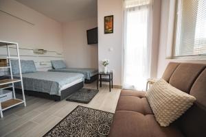 索非亚Paradise Guest Apartment的客厅配有床和沙发