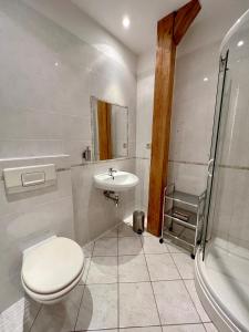 兹诺伊莫维多利亚旅馆的浴室配有卫生间、盥洗盆和淋浴。