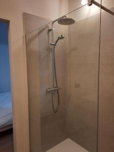 KruisemKomo Hill Stays - guestroom Komo Cosy的浴室里设有玻璃门淋浴