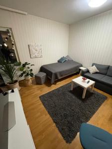拉彭兰塔Studiohuoneisto Valtakatu 45, sauna, AC, WiFi的客厅配有床和沙发