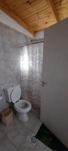 特雷利乌Soñar en la Patagonia的一间带卫生间和淋浴帘的浴室