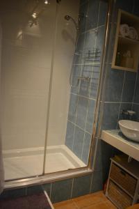 Lower BoscaswellDistant Lights的带淋浴和盥洗盆的浴室