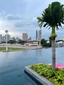 吉隆坡Merdeka Tower 118 Opus KL的棕榈树在游泳池里,以城市为背景