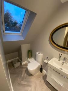 卡林顿Cornish country getaway的一间带卫生间、水槽和镜子的浴室