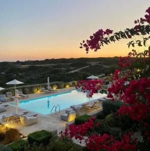 圣玛丽亚Sea Swell Villas at Santa Maria的一座带躺椅和粉红色鲜花的大型游泳池