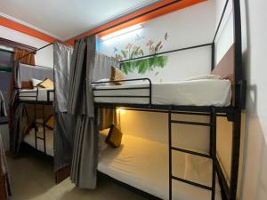 下龙湾Alex Hostel的客房设有两张双层床和一扇窗户。