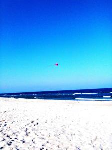 巴贝Ferienwohnung Zoschke的风筝在海滩上飞越海洋