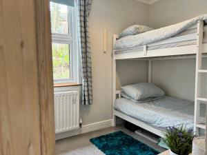 阿什伯恩Cosy Heather Cottage的一间卧室设有两张双层床和一扇窗户。