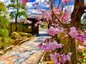 京都Kadensho, Arashiyama Onsen, Kyoto - Kyoritsu Resort的树上种着粉红色花的花园