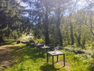 圣巴勃罗-德塞古列斯Hostal La vall的树木林地的一排桌子