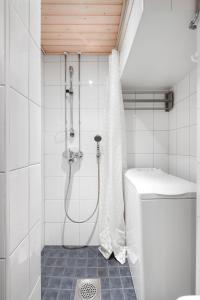 赫尔辛基WeHost Spacious Studio for 5 with a Kitchen的带淋浴和卫生间的浴室