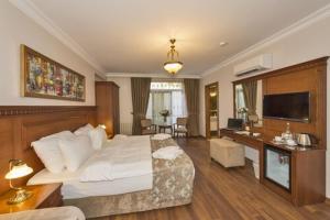 伊斯坦布尔Hotel Blisstanbul的一间卧室配有一张床和一张书桌及电视