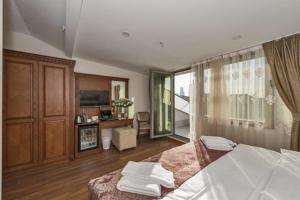 伊斯坦布尔Hotel Blisstanbul的一间卧室设有一张床和一间客厅。