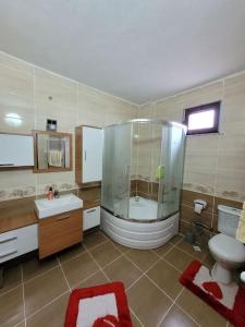 AraklıTrabzon Deniz Manzaralı villa的带淋浴、卫生间和盥洗盆的浴室