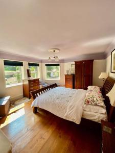 新罗斯Victorian Villa的卧室配有一张大床、木地板和窗户。