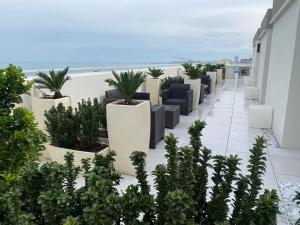 里米尼拜伦酒店的一座建筑中一排植物,背靠海滩