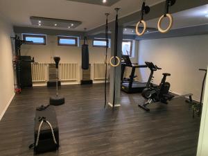 帕绍Hotel Innsento - Health Campus Passau的一间健身房,里面设有举重器材和健身器材