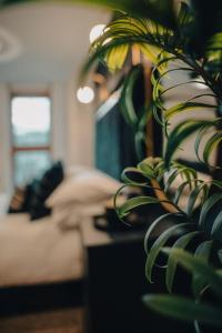 伯明翰Penthouse Noir - Wyndale Living - Central BHam 2BR的卧室前的植物,带一张床