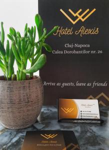 克卢日-纳波卡阿莱克斯酒店的坐在盒子旁的花瓶里的植物