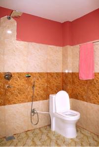 奇旺Hotel National Park- A Peaceful Family Home in Sauraha的一间带卫生间和淋浴的浴室
