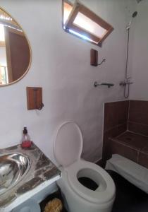 麦马拉Dormir con llamas的一间带卫生间、水槽和镜子的浴室