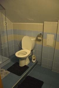旧柳博夫尼亚Penzión Dinda的蓝色瓷砖客房内的卫生间