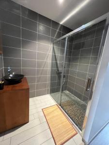 布鲁瓦Maison Centre ville Blois的带淋浴和盥洗盆的浴室