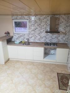 科布列季Guest house Romanadze的厨房配有水槽和台面