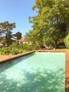 温基约Casa mansa的庭院里的一个蓝色海水游泳池