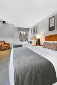 班夫班夫酒店的酒店客房设有两张床和窗户。