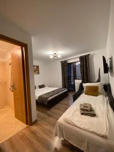 布朗Casa Moșoiu的酒店客房,设有两张床和镜子