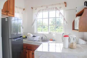 尼格瑞尔Van Villa Guesthouse的厨房配有冰箱、水槽和窗户。