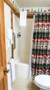 特拉基Ski Trails 4042的带浴缸和淋浴帘的浴室