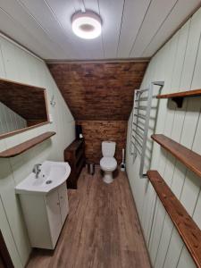 IlūksteIlūkstes Sauna apartamenti (bezkontakta)的一间带卫生间和水槽的浴室