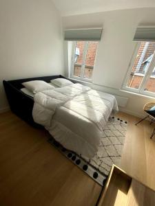 Appartement 50 m2 avec Rooftop Lille Centre客房内的一张或多张床位